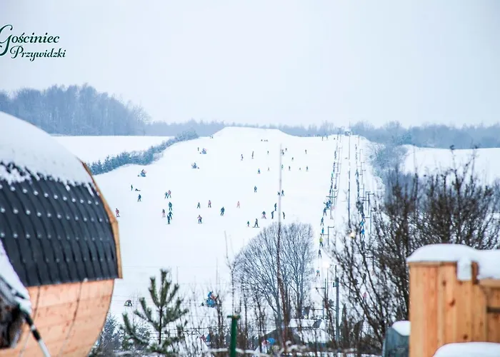 Gosciniec Przywidzki Bed & Breakfast Przywidz (Gdansk)